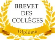 Quiz Quelques perles du Brevet !