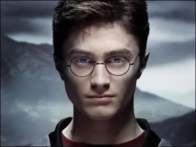 Qui sont les deux meilleurs amis de Harry Potter ?