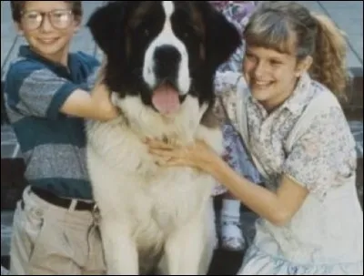 Dans quel film populaire ce Saint-Bernard a-t-il joué ?