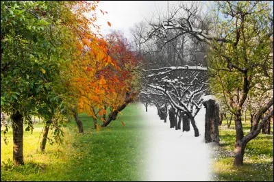 Comment dit-on "été / automne / hiver / printemps" en anglais?