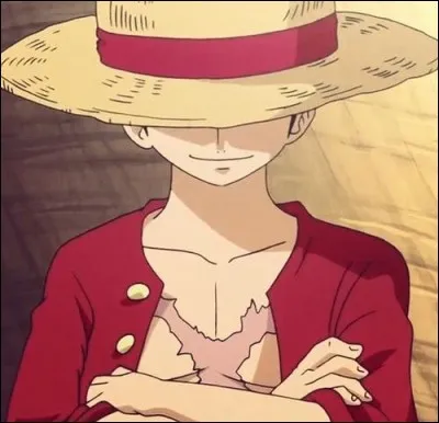 Quel est le surnom de Luffy ?