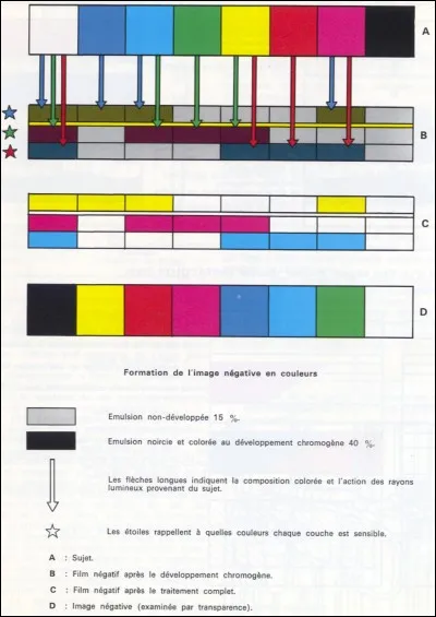 D'abord, regardez cette image.
Quel est l'inverse du rouge, c'est-à-dire son négatif ?