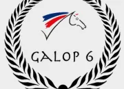 Quiz Galop 6