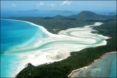 Nous commençons par la plage de 'Whitsunday Island', pas de soucis, les kangourous pourtant nombreux, n'y viennent pas.