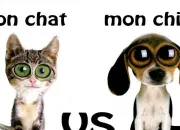 Test Es-tu un chien ou un chat ?