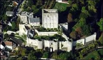 Le château de Loches (Indre-et-Loire) possède une tour appelée "tour Agnès Sorel". Favorite de Charles VII, elle fut surnommée "la Dame de beauté. Pourquoi ?