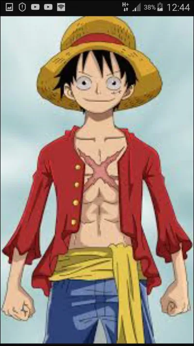 Qui fait partie de la famille de Luffy ?