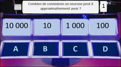 Quelle lettre ne compromettra pas votre réussite ?