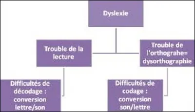 Combien d'enfants sont touchés par la dyslexie ?