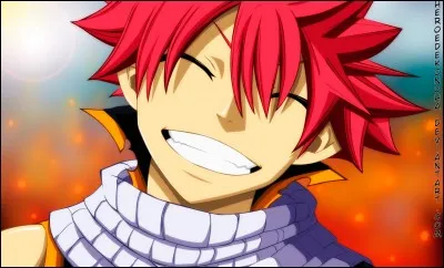 Que veut dire Natsu ?