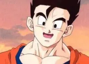 Quiz Les personnages de 'Dragon Ball' [3] - Son Gohan