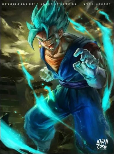 Qui est Vegetto Bleu ?