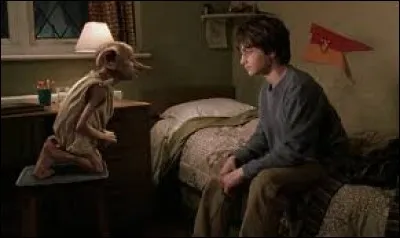 Pourquoi Dobby rencontre-t-il Harry ?