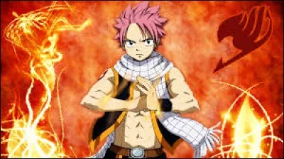 Que veut littéralement dire « Fairy Tail », le titre d'un manga écrit par Hiro Mashima et diffusé en anime depuis 2009 ?