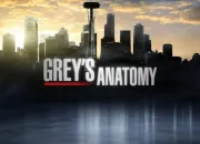 Quiz Grey's Anatomy