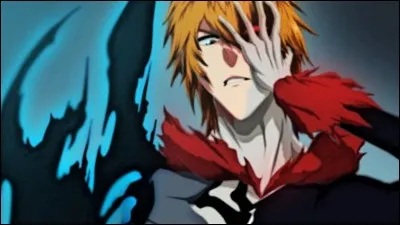 Quel est le nom de famille d'Ichigo ?