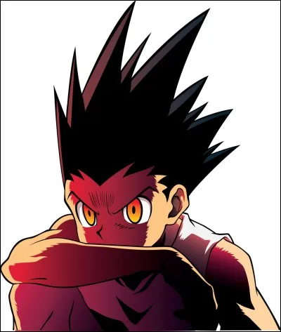 Le nom de famille de Gon est :