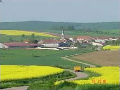 Nous partons pour commencer dans le Grand-Est, à Athienville. Village du Lunévillois, il se situe dans le département ...