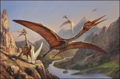 Quelle hauteur faisait le quetzalcoatlus ?