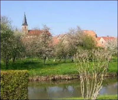 Cette nouvelle balade débute dans le Territoire de Belfort, à Bourogne. Nous sommes en région ...