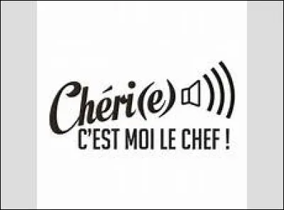 Sur quelle chaîne peut-on voir Chéri(e) c'est moi le chef ?