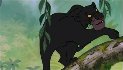 Où Bagheera découvre-t-elle le petit Mowgli ?