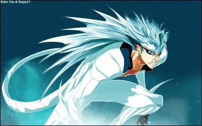 Grimmjow est l'Espada avec le numéro :