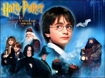 Quand est né Harry Potter ?