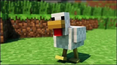 Peut-il y avoir des poulets dans le Nether ?