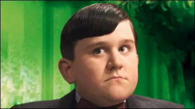 Qui est Dudley Dursley ?