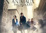 Quiz Harry Potter - 'Les Animaux fantastiques'