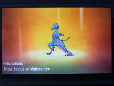 De quelle couleur est Malamandre shiny ?