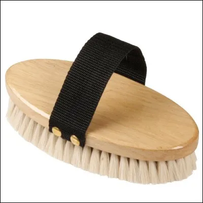 Quel brosse n'existe pas ?