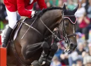 Quiz Hickstead