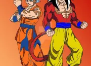 Quiz Dragon Ball (DBS, DBGT et DBZ)