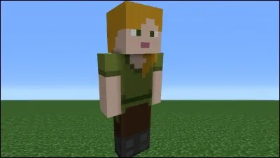 Comment s'appelle la fille de Minecraft ?