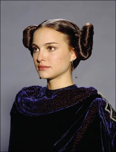 Dans l'épisode II, quelle est la profession de Padmé Amidala ?