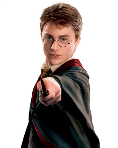 Commençons par le commencement. Notre célèbre héros de tous les temps ce fameux Harry Potter ! Tiens, je me demande s'il est mort ou si je me fais trop d'illusions ?