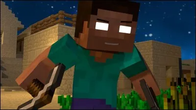 Tout d'abord, qui a créé Minecraft ? (les autres sont inventés hein)