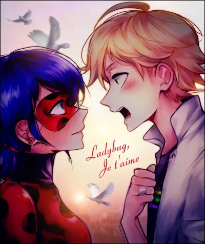 Marinette est amoureuse d'Adrien et Adrien l'est de Ladybug.