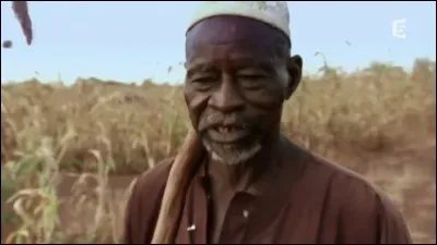 Yacouba Sawagodo est Africain, il y a quarante ans, il a eu une idée géniale, tout le monde l'a pris pour un fou, mais qu'a t-il fait exactement ?