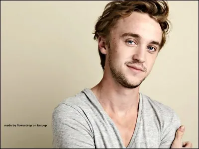 Tom Felton joue un rôle dans quelle série ?