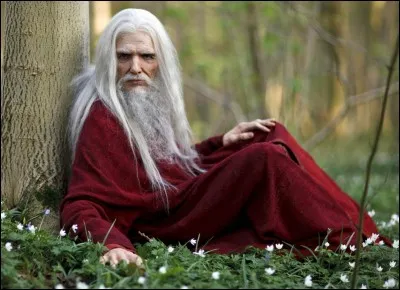 Qui est Emrys ?