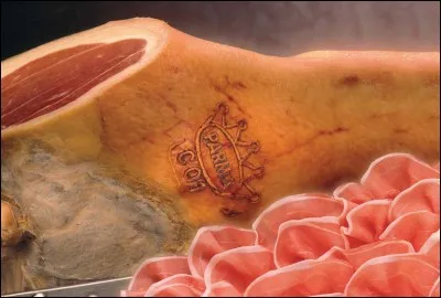 Quelle ville italienne est réputée pour son jambon ?