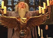 Quiz Albus Dumbledore