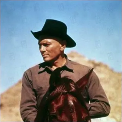 Combien sont les mercenaires dans le film de John Sturges avec Yul Brynner ?