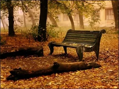 "A m'asseoir sur un banc cinq minutes avec toi / Et regarder les gens tant qu'y en a...". A qui doit-on ces paroles ?