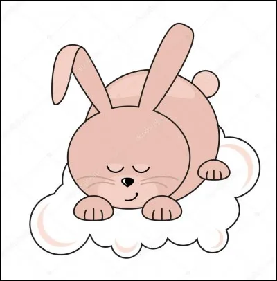 Le lapin dort en moyenne :