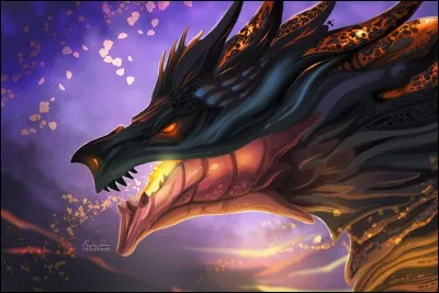 Quel type est immunisé contre les attaques de type dragon ?