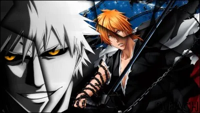 "Bleach" veut dire :